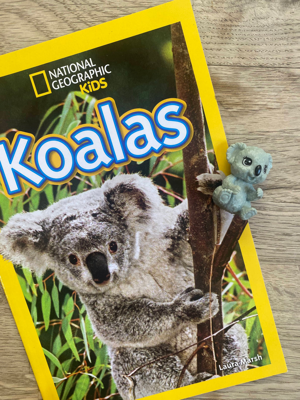 Koalas National Geographic Level 1 + koala