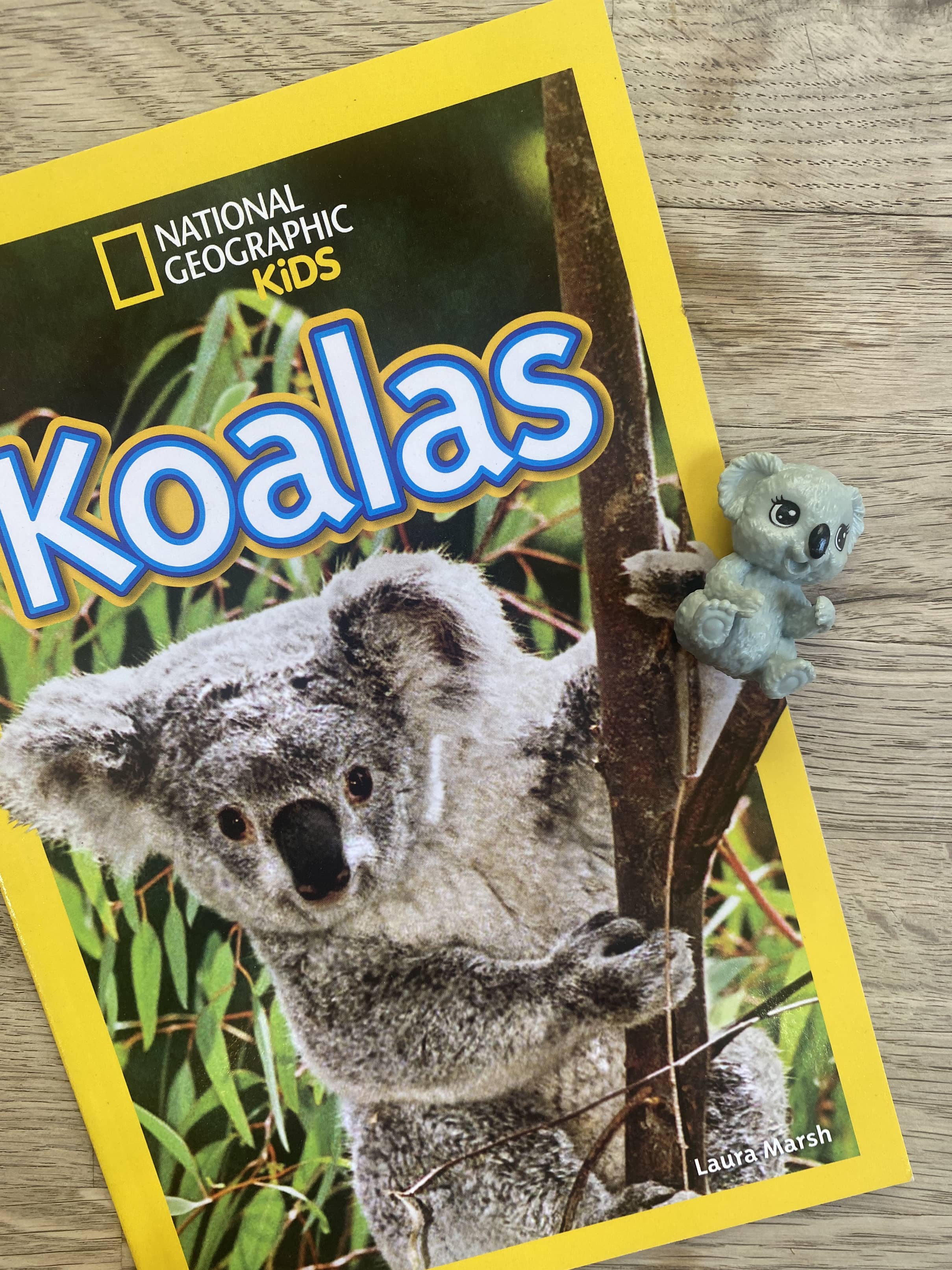 Koalas National Geographic Level 1 + koala