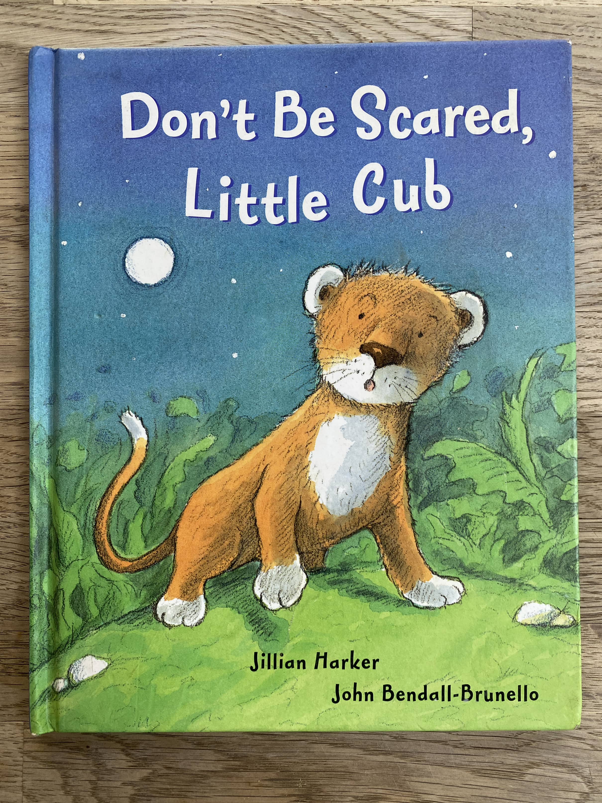 Don't Be Scared Little Cub