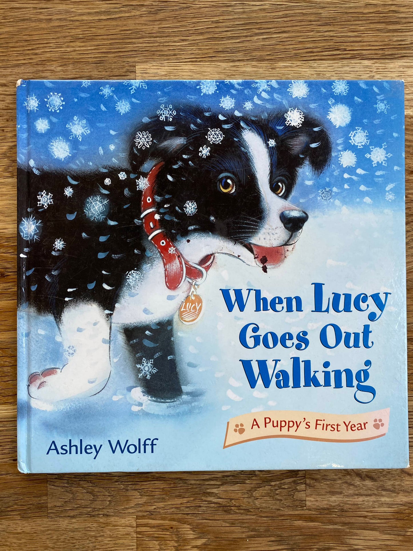 When Lucy Goes Out Walking - A Puppy's First Year - Ashley Wolff