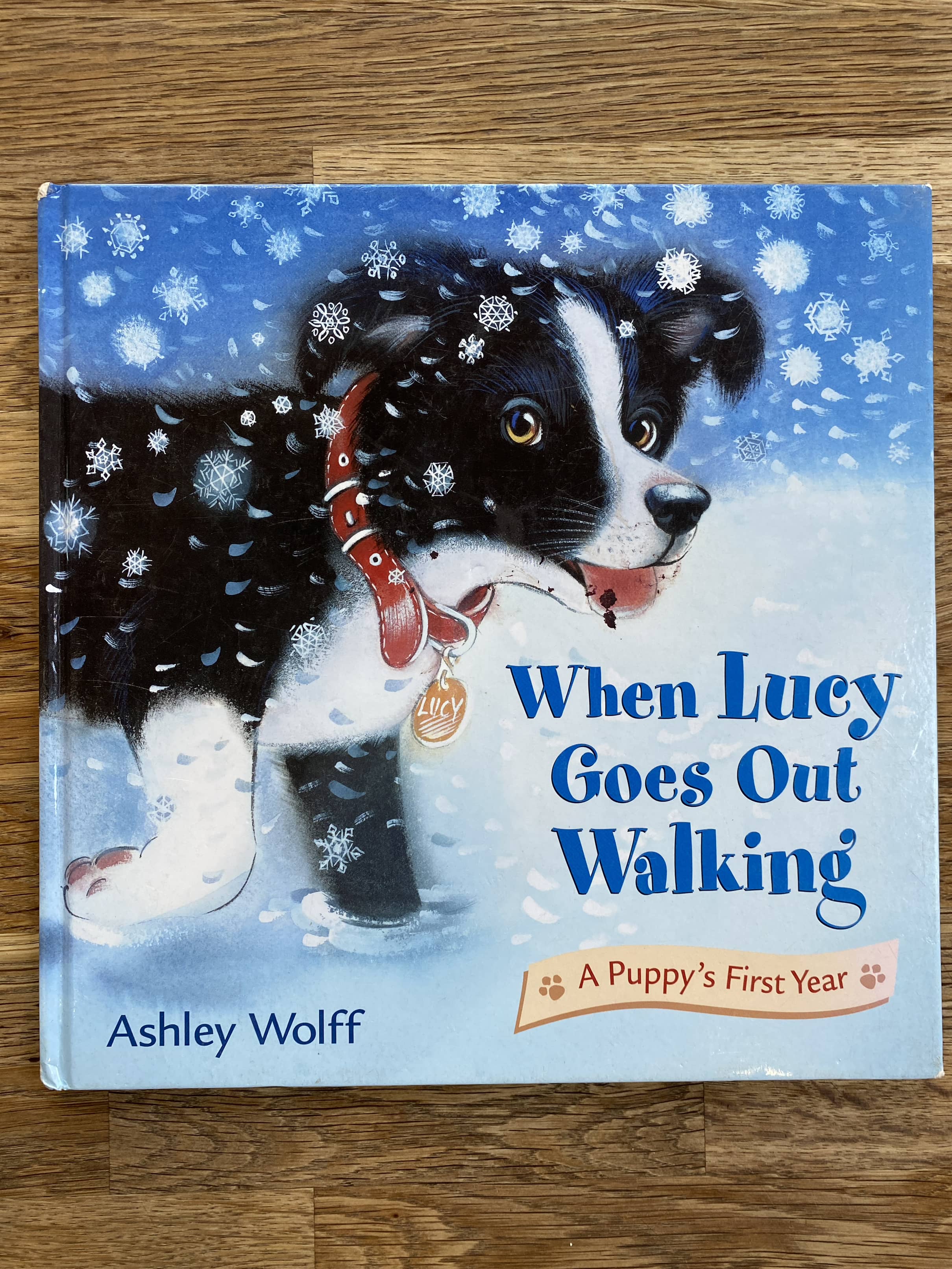 When Lucy Goes Out Walking - A Puppy's First Year - Ashley Wolff