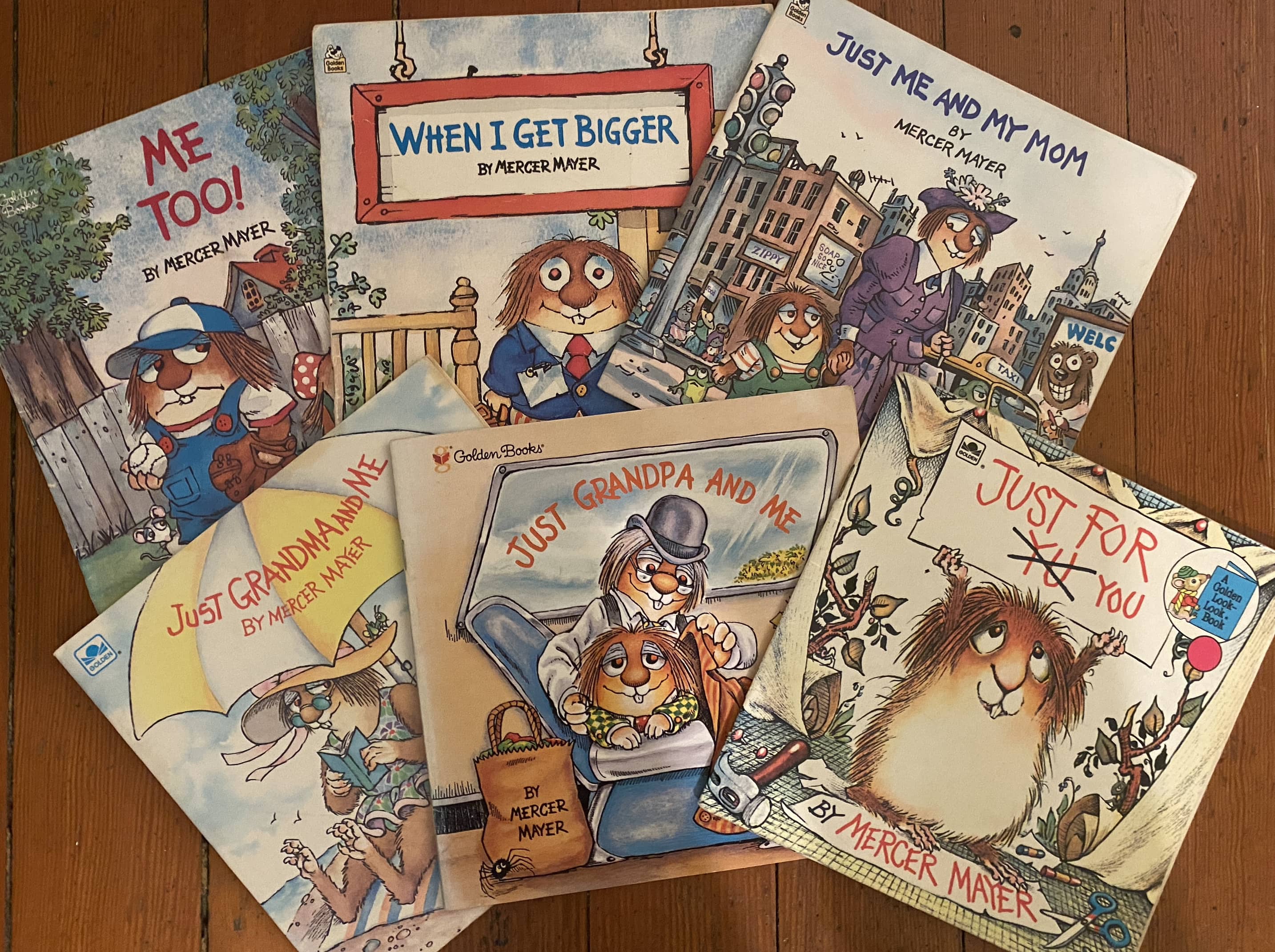 Mercer Mayer Book Bundle - 6 books included