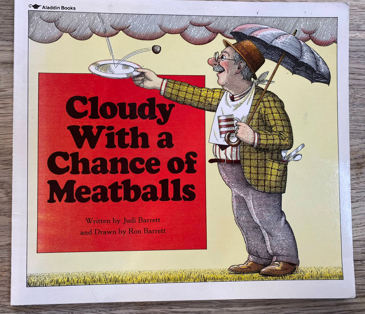 Cloudy with a Chance of Meatballs