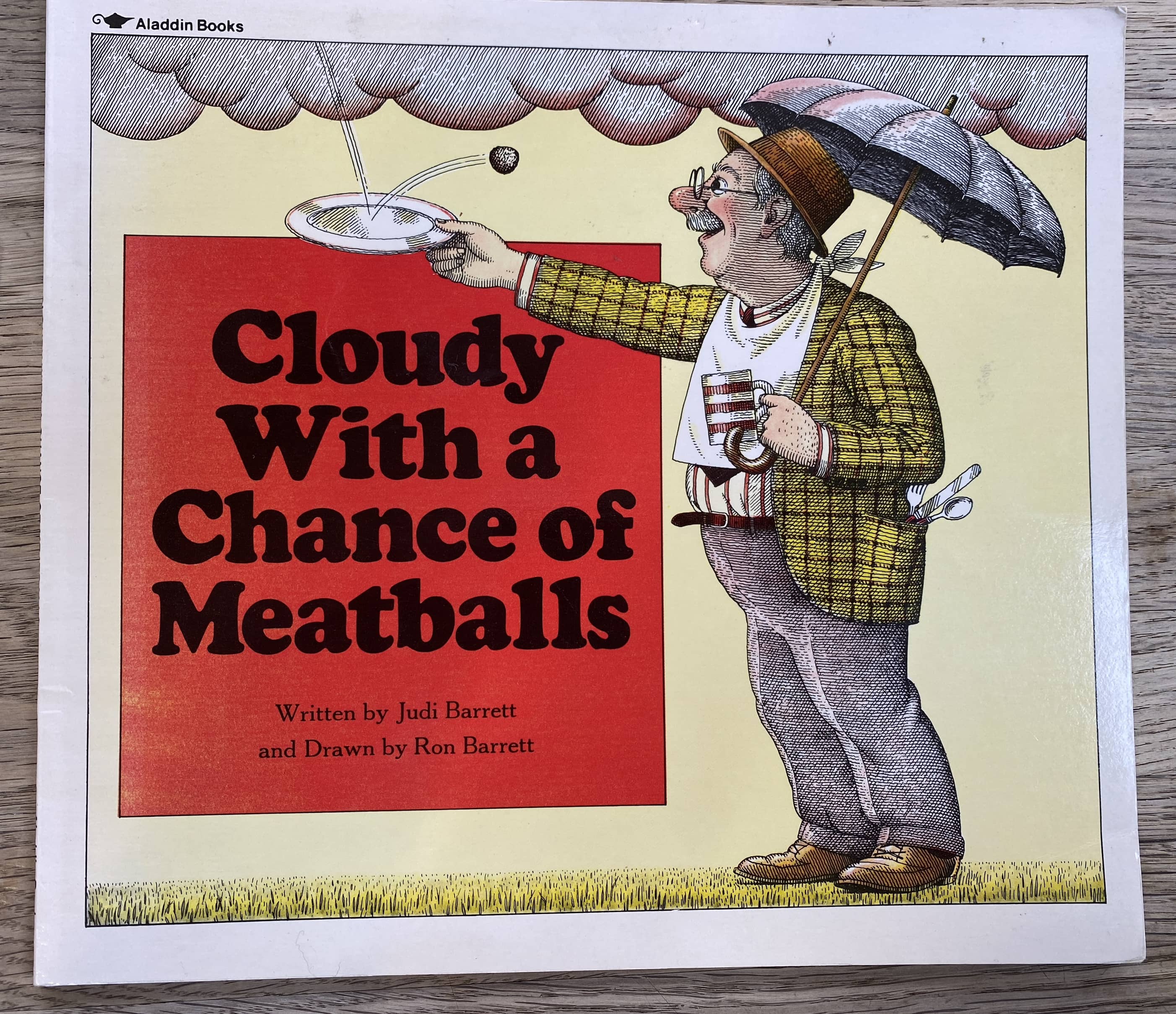 Cloudy with a Chance of Meatballs