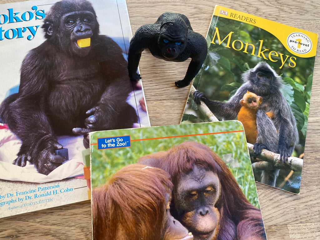 Primates Pack - Monkeys, Apes (Pre-Loved) 4 books included