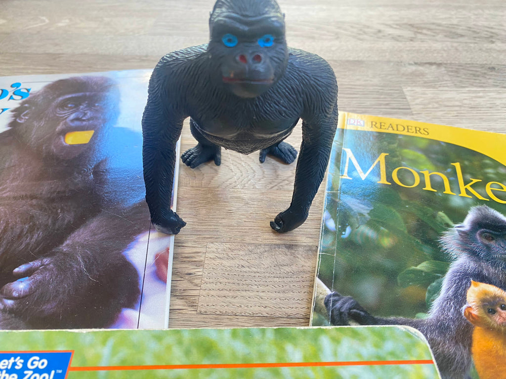 Primates Pack - Monkeys, Apes (Pre-Loved) 4 books included