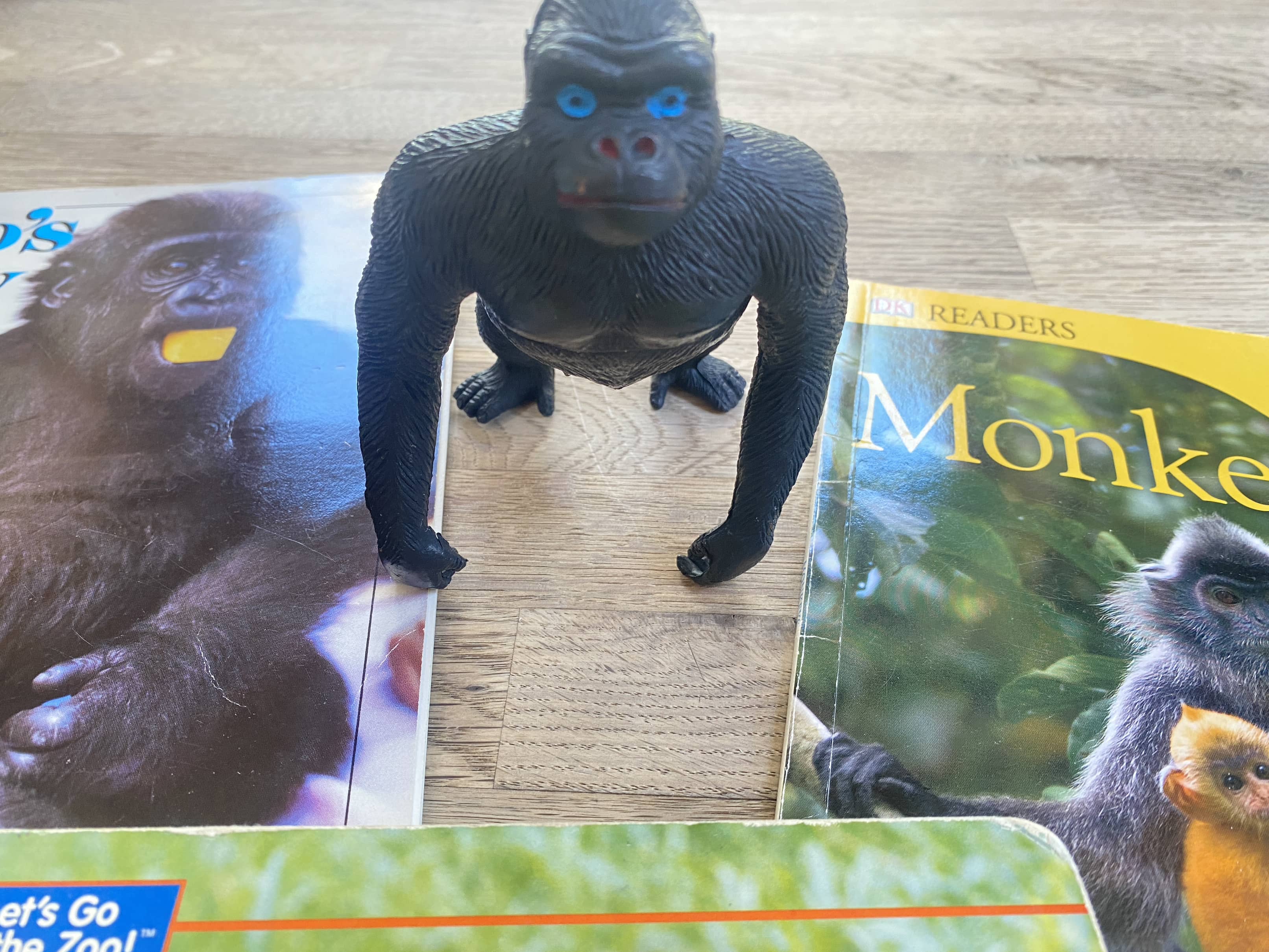 Primates Pack - Monkeys, Apes (Pre-Loved) 4 books included