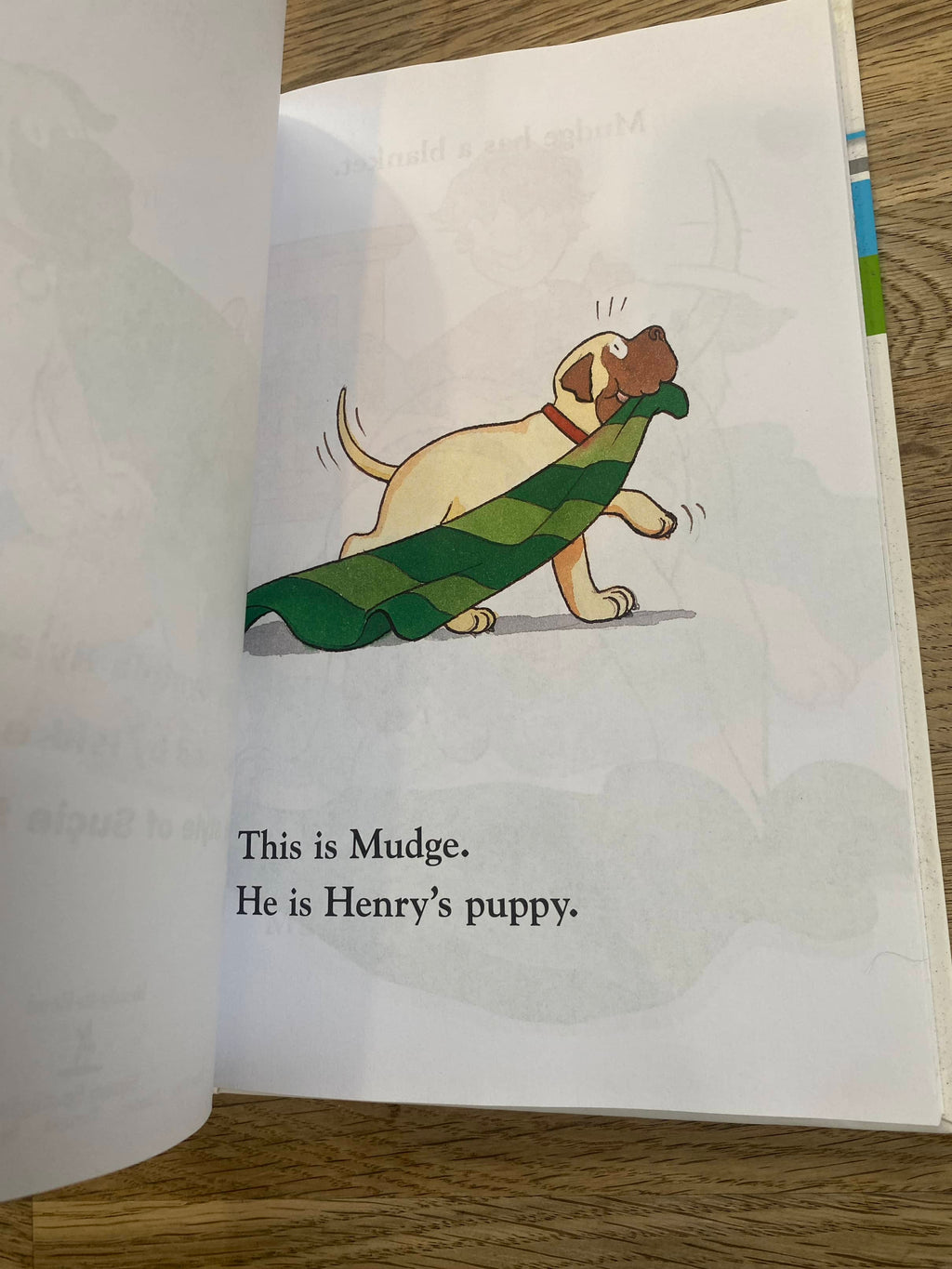 The Puppy Mudge Collection - 6 books in 1 (Pre-Loved) - ReadReady to