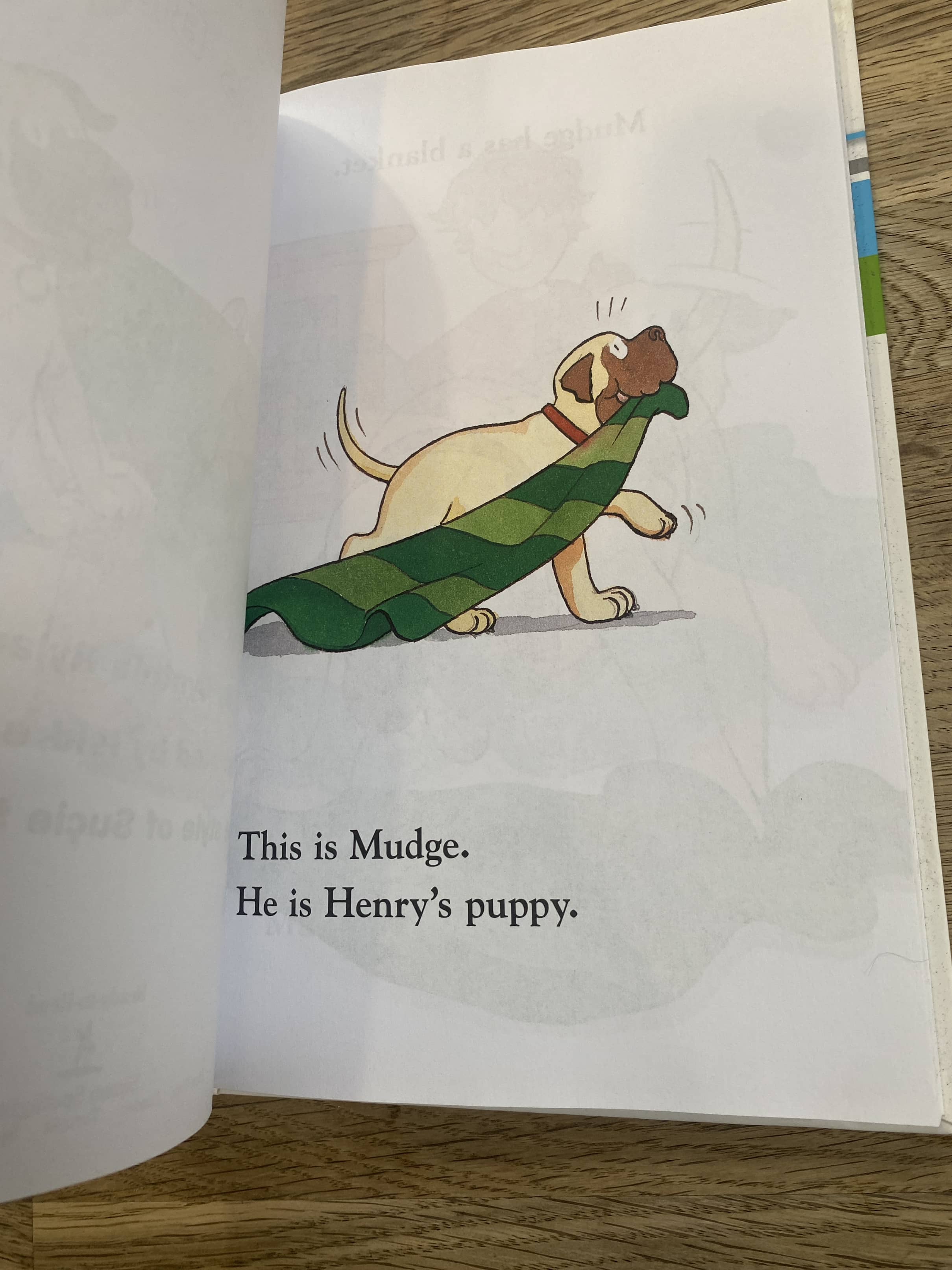 The Puppy Mudge Collection - 6 books in 1 (Pre-Loved) - ReadReady to