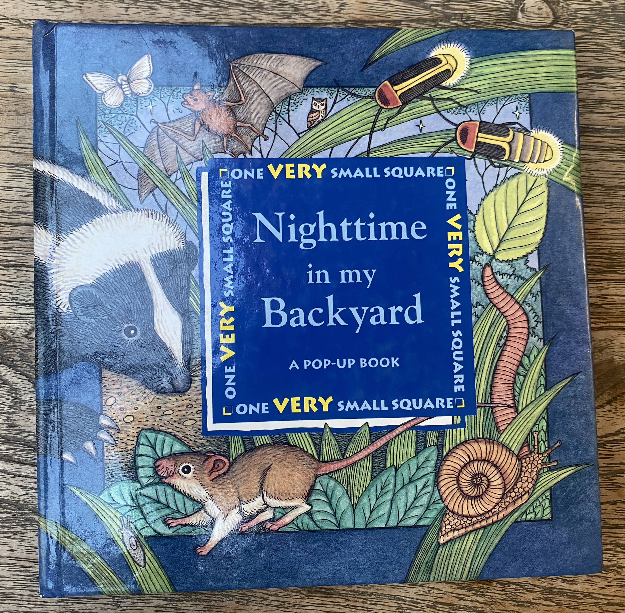 Nighttime in my Backyard - A Pop-Up Book - One VERY Small square