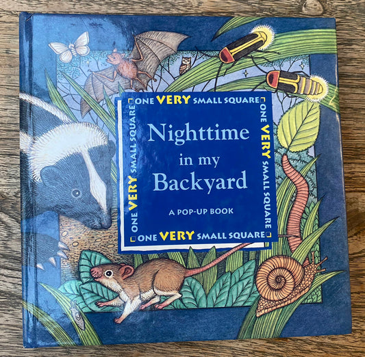 Nighttime in my Backyard - A Pop-Up Book - One VERY Small square