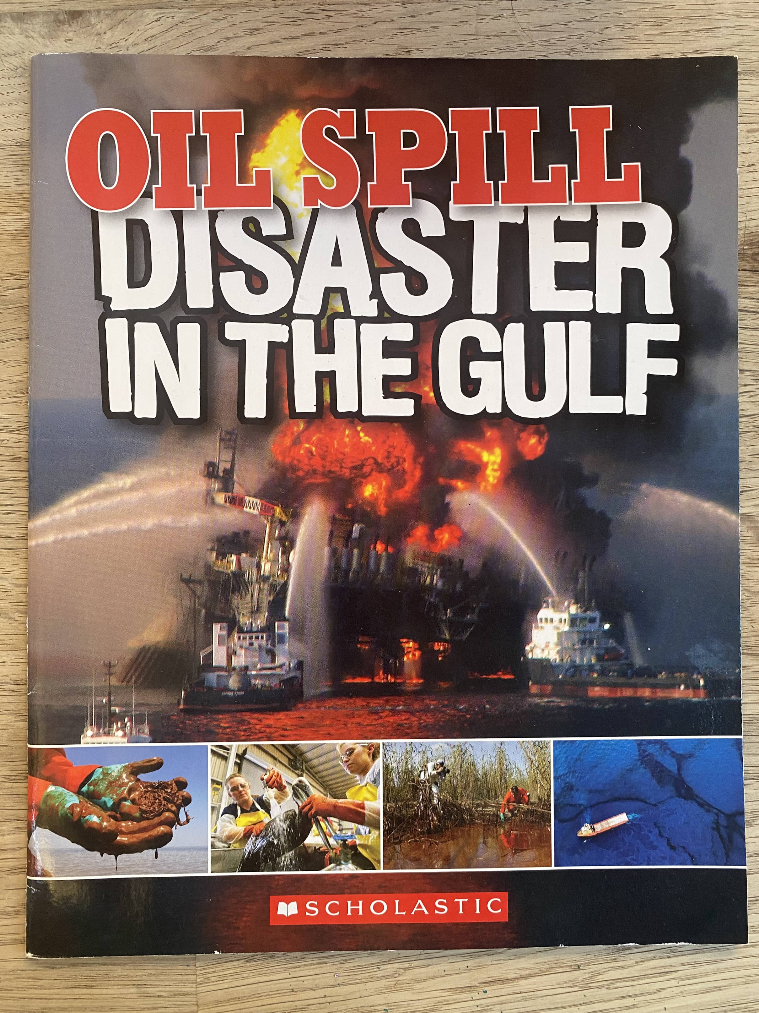 Oil Spill - Disaster in the Gulf