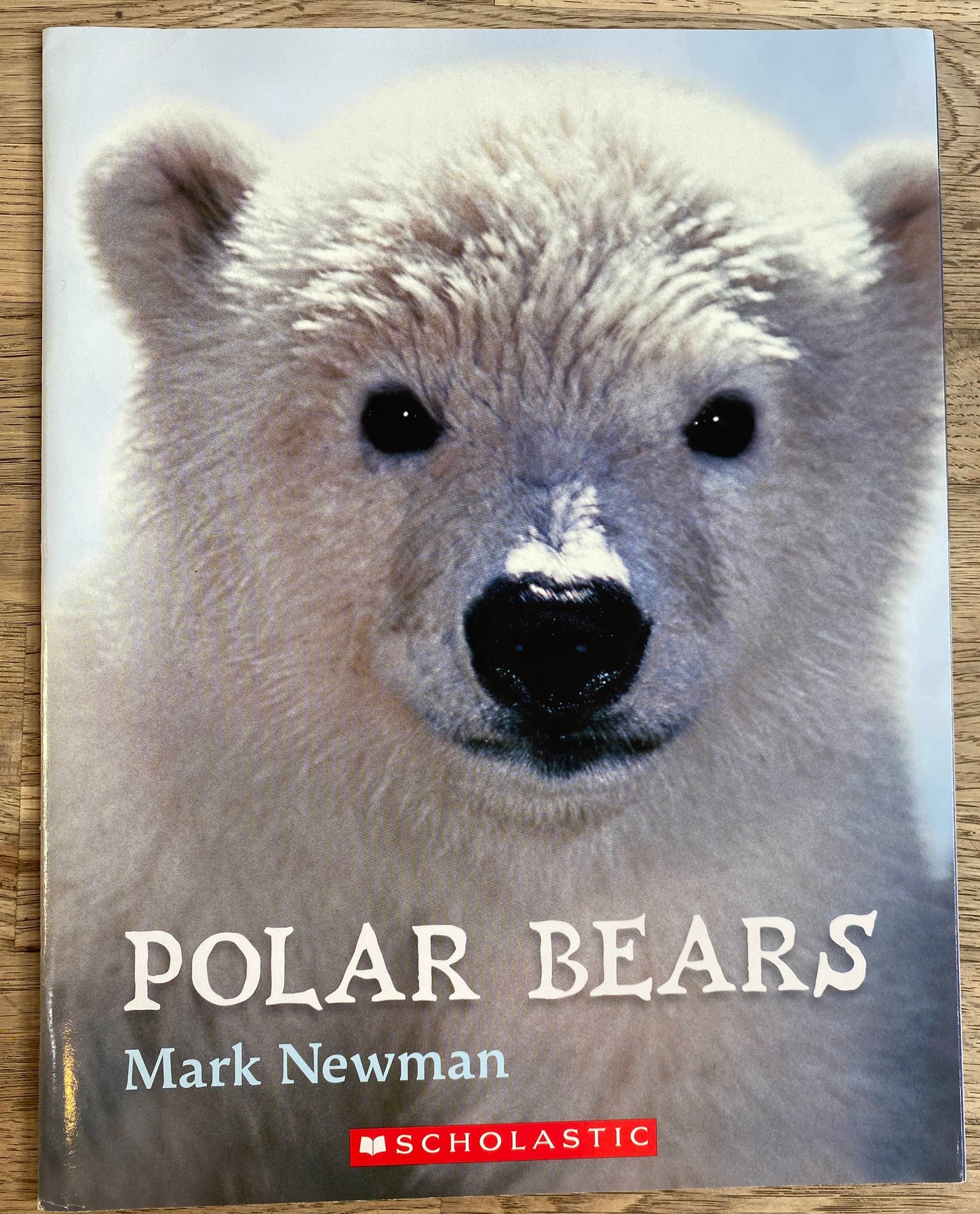 Polar Bears - Mark Newman