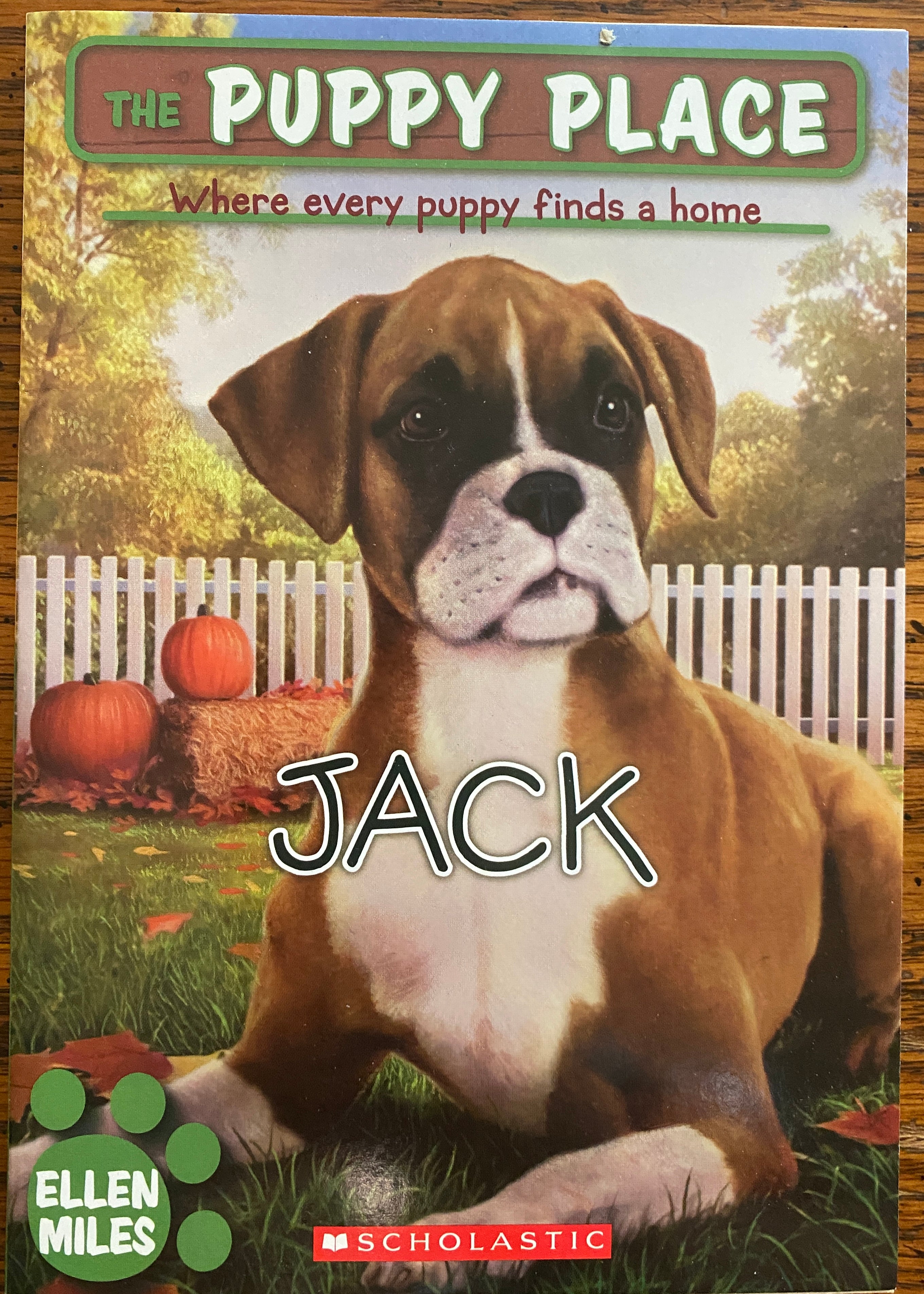 The Puppy Place Where Every Puppy Finds a Home - Jack