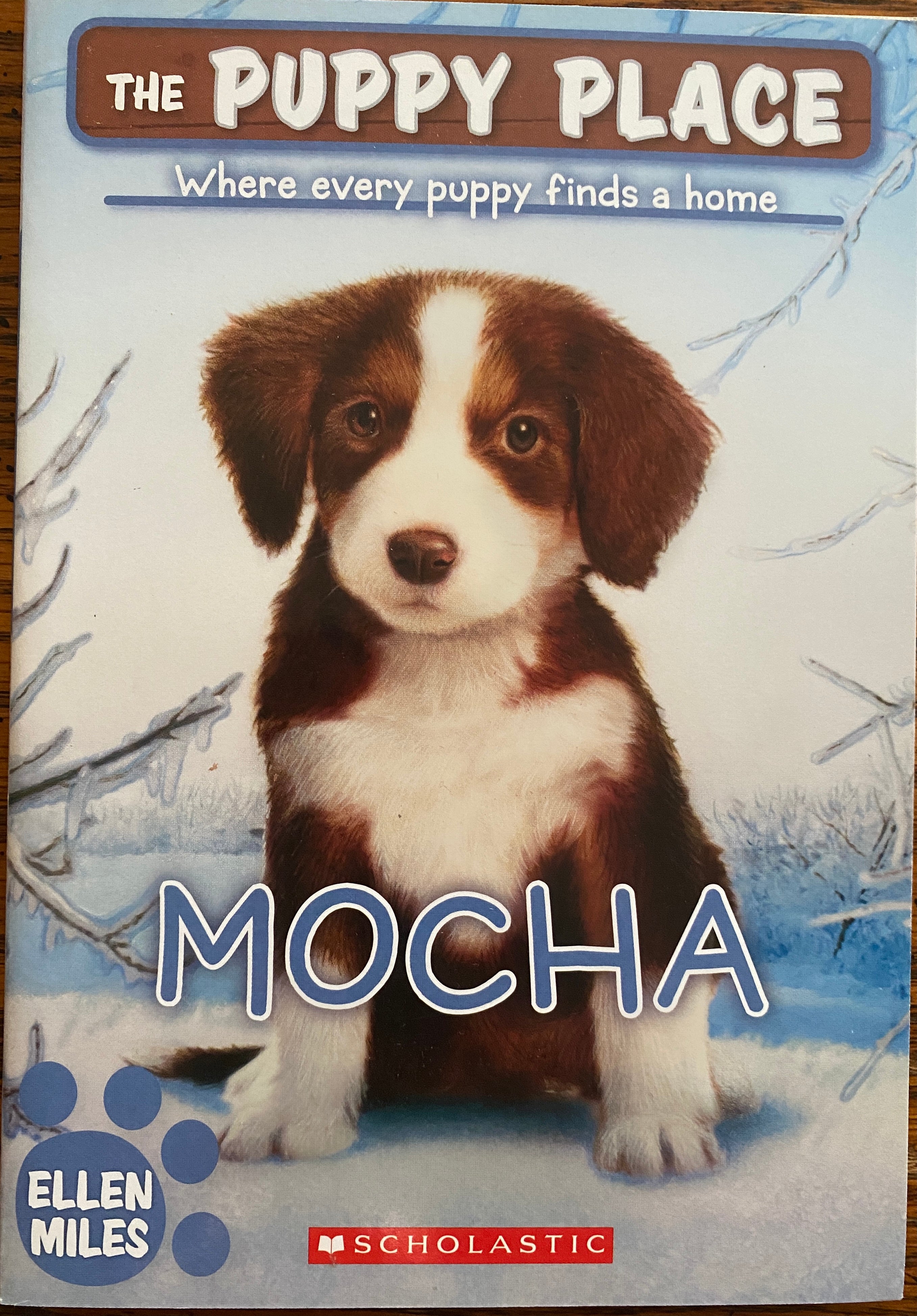 The Puppy Place Where Every Puppy Finds a Home - Mocha