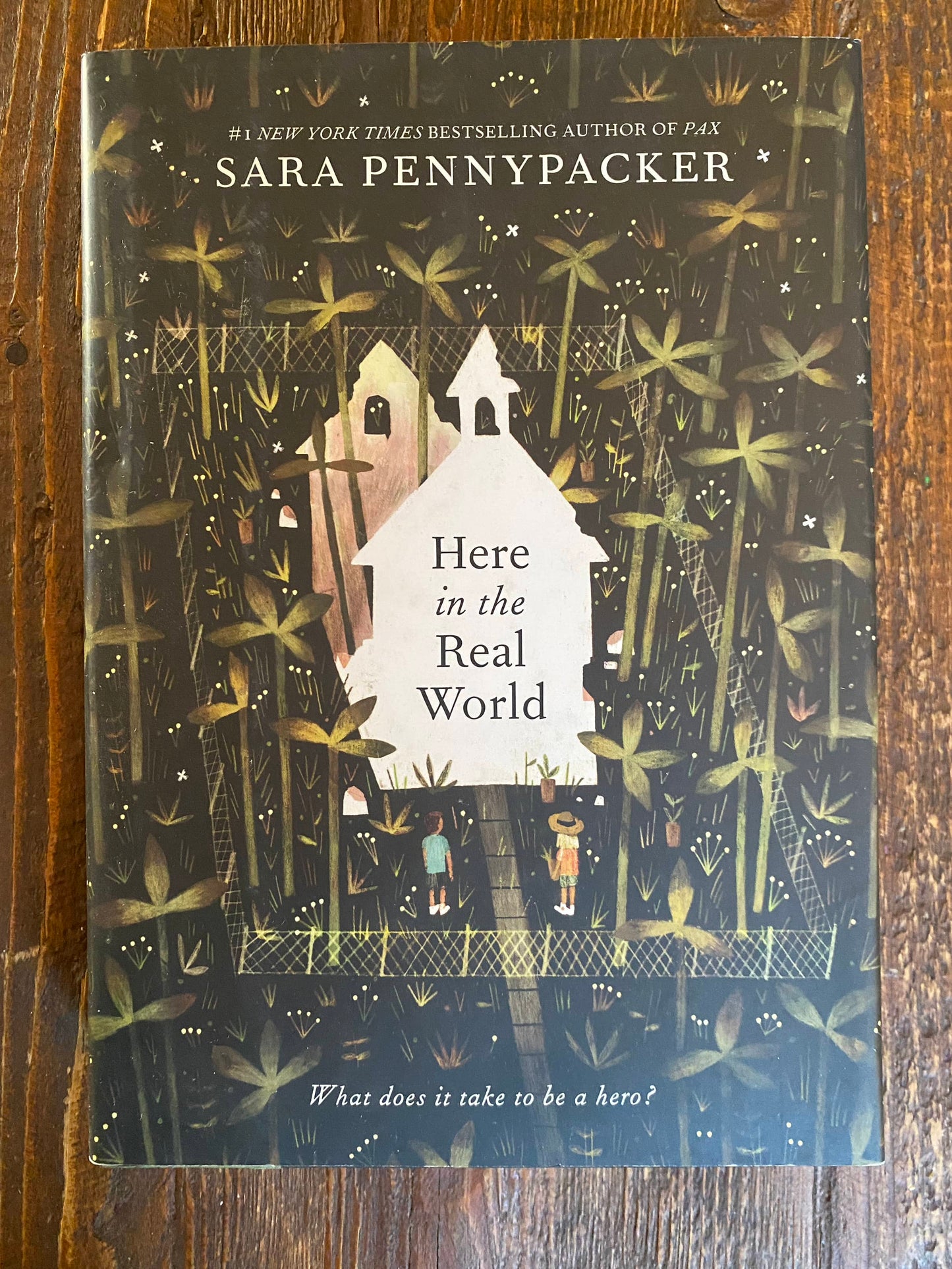 Here in the Real World - Sara Pennypacker