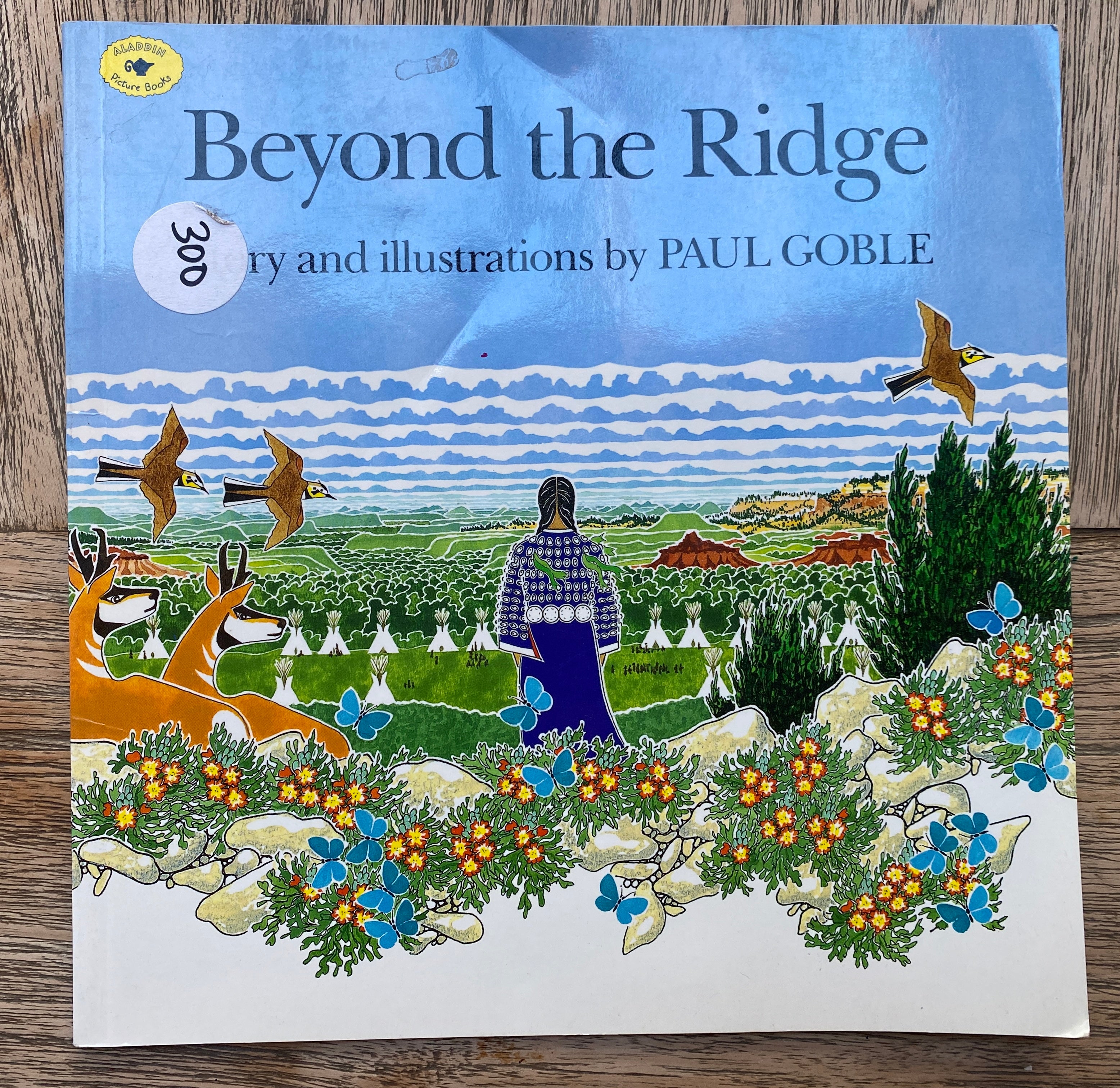 Beyond the Ridge