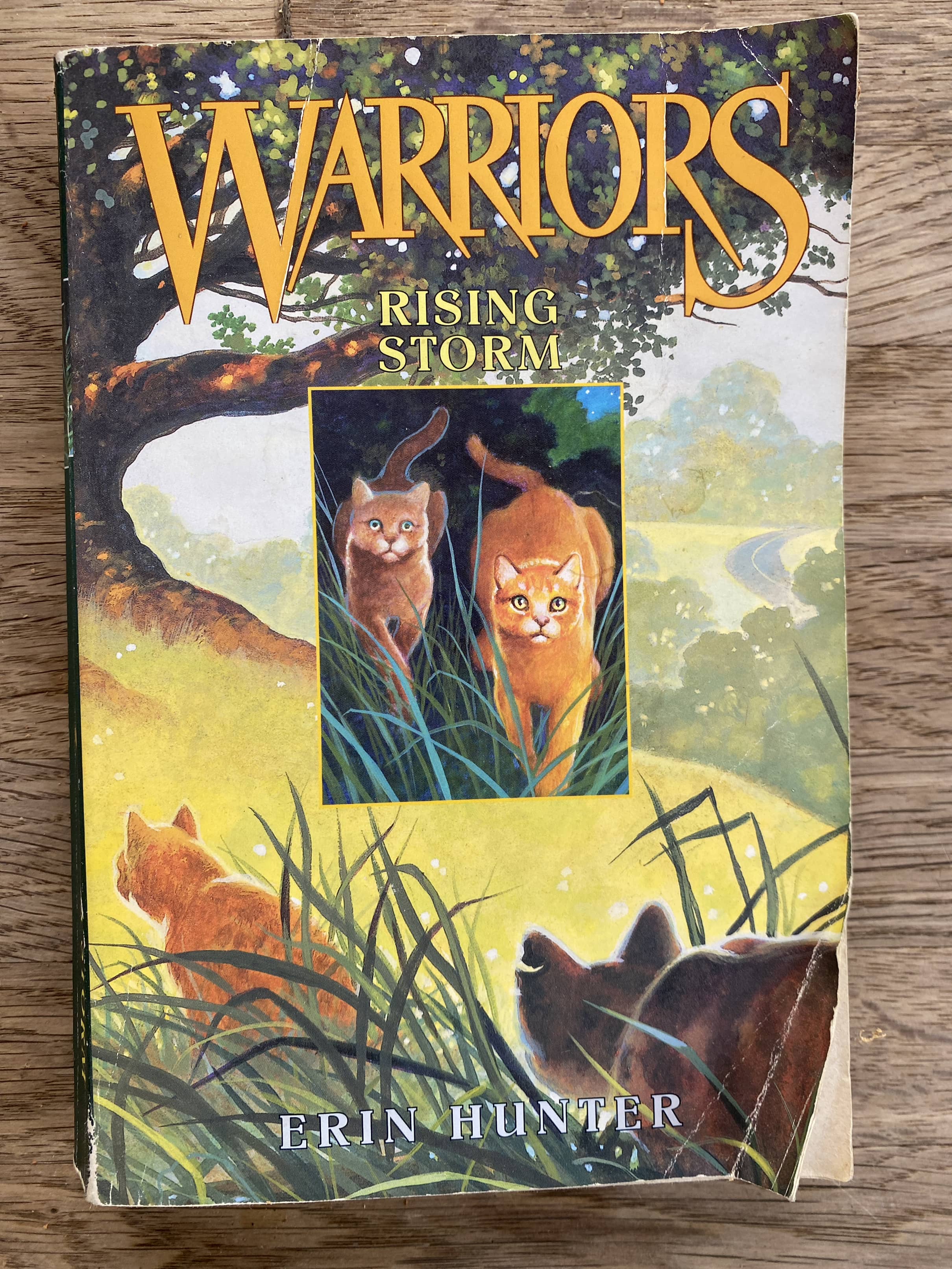 Warriors - Rising Storm - Erin Hunter - Book 4