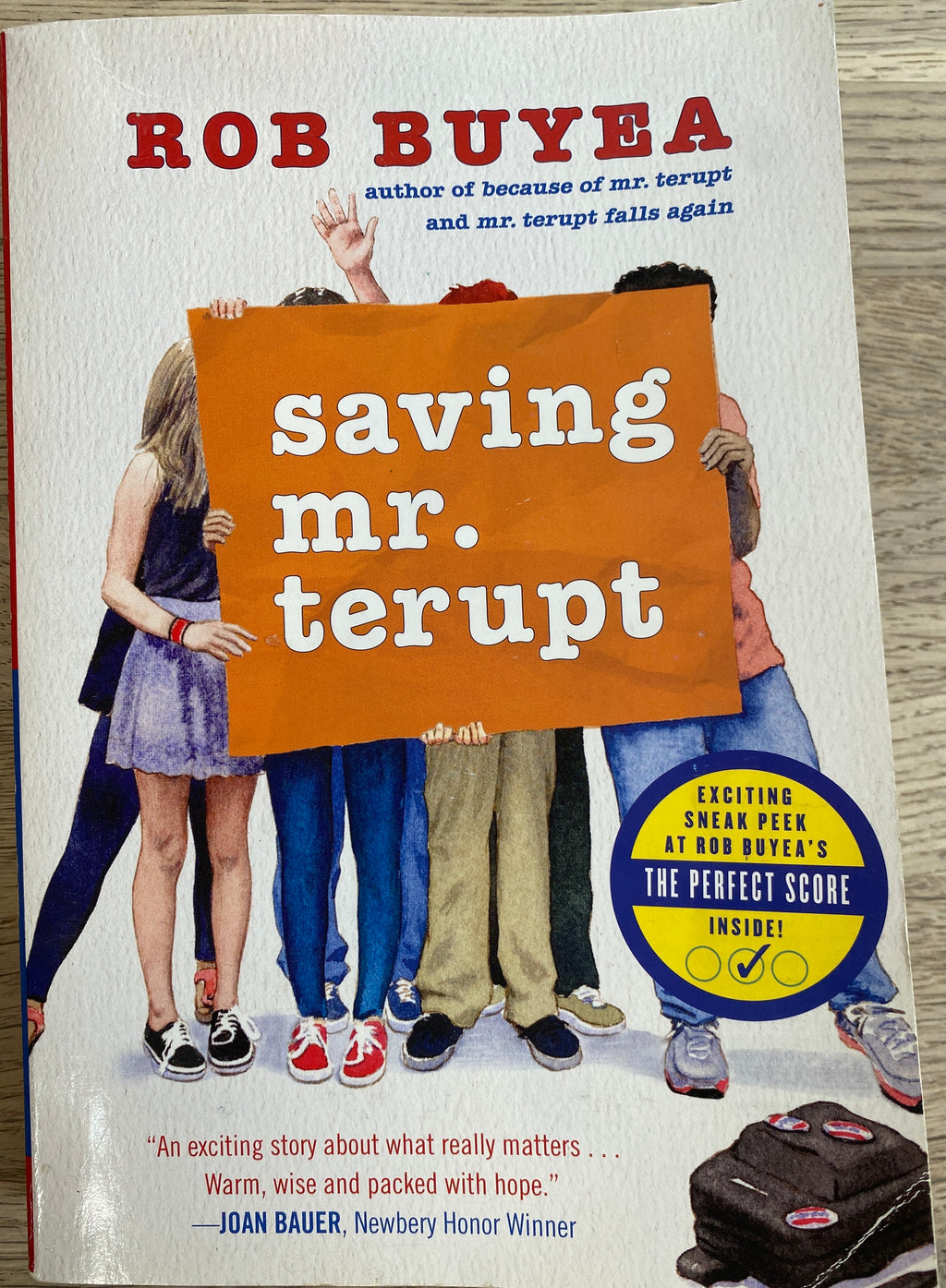 Saving Mr. Terupt by Rob Buyea