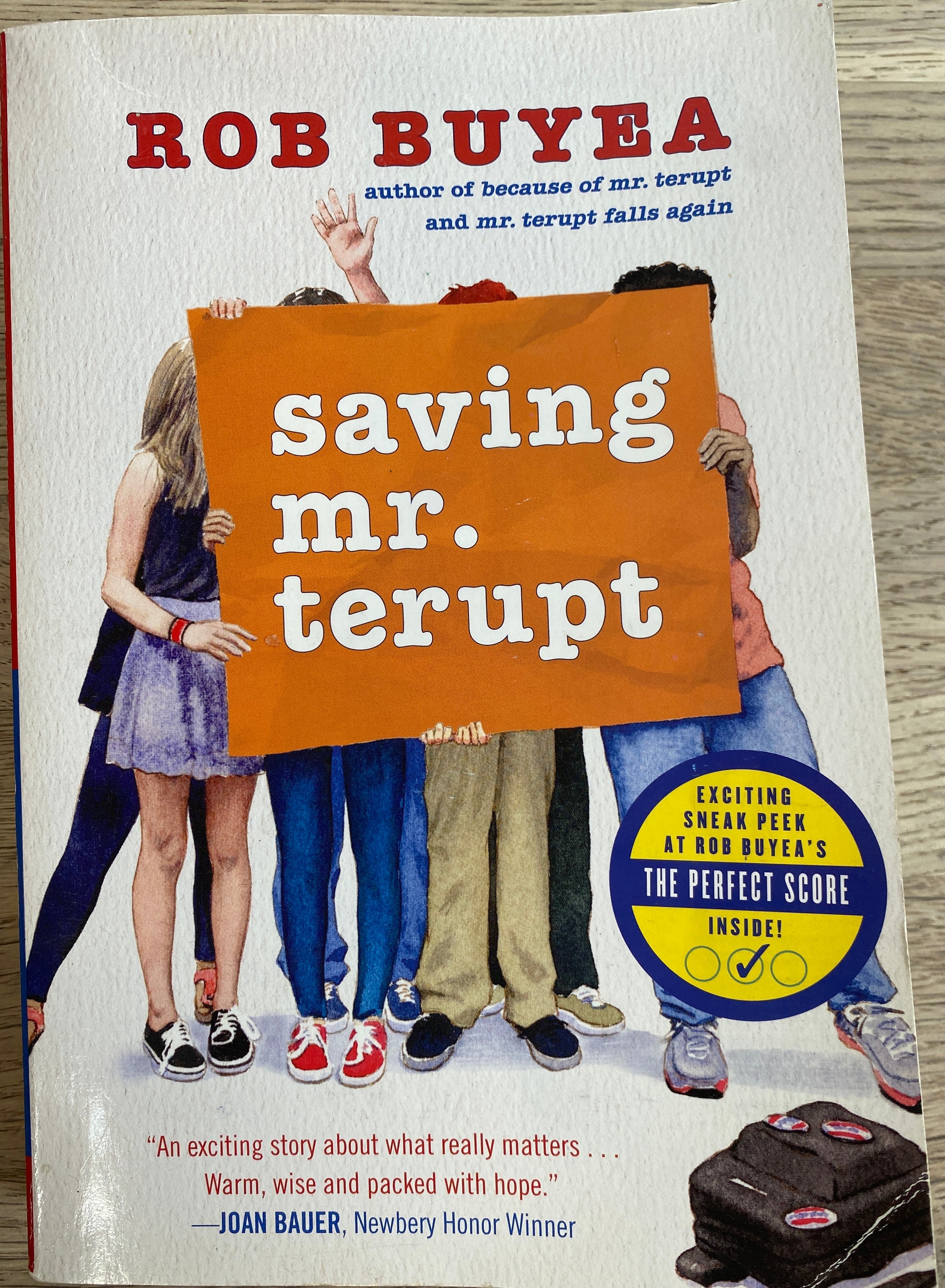 Saving Mr. Terupt by Rob Buyea