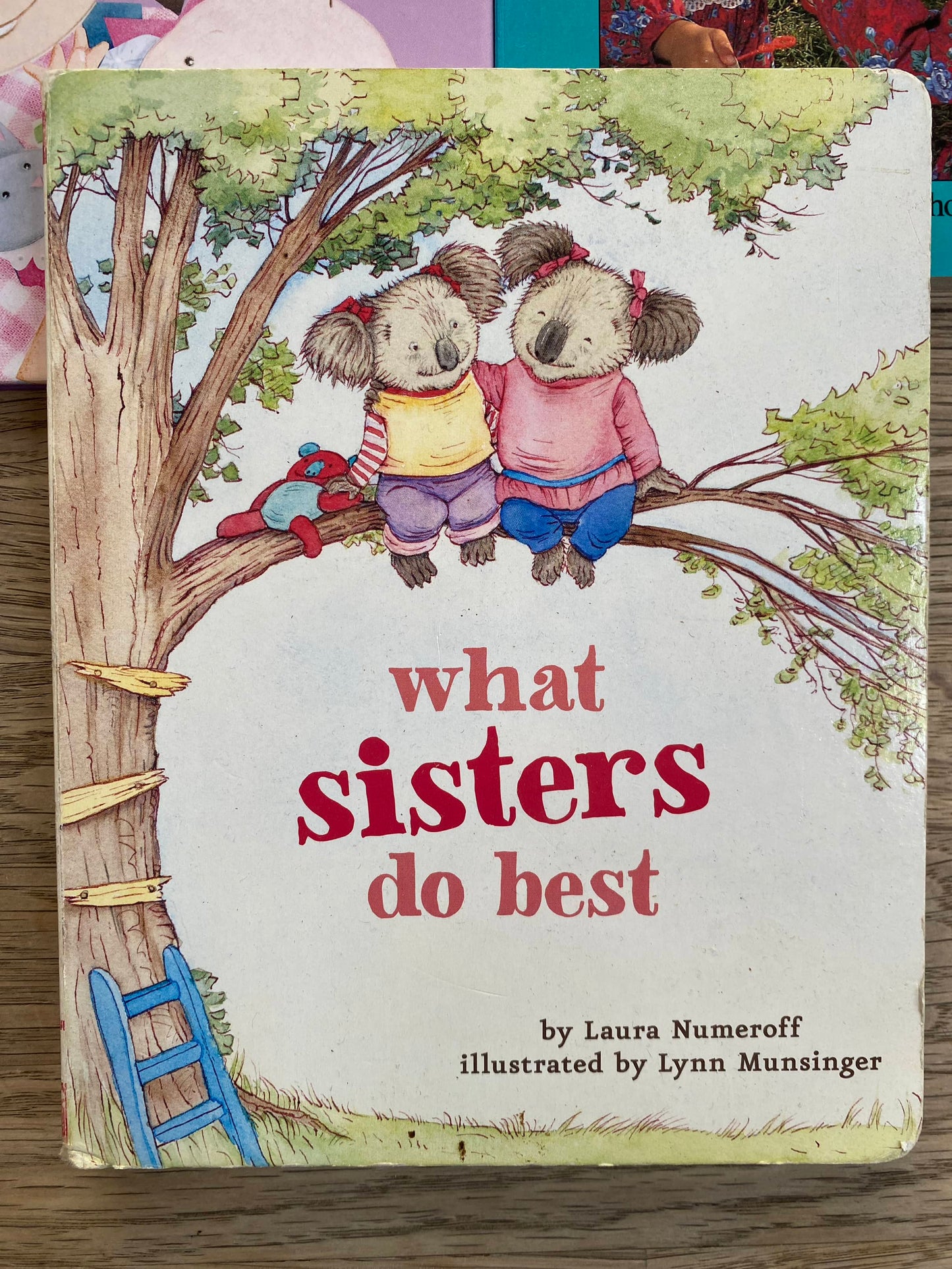 Sisters Book Bundle (Pre-Loved) 5 books