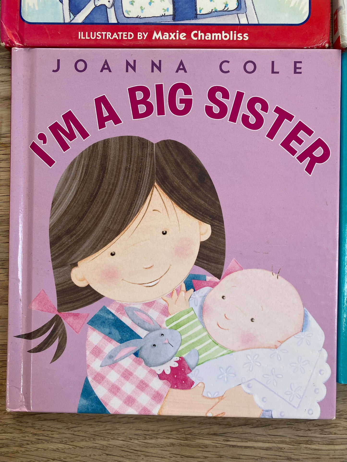 Sisters Book Bundle (Pre-Loved) 5 books