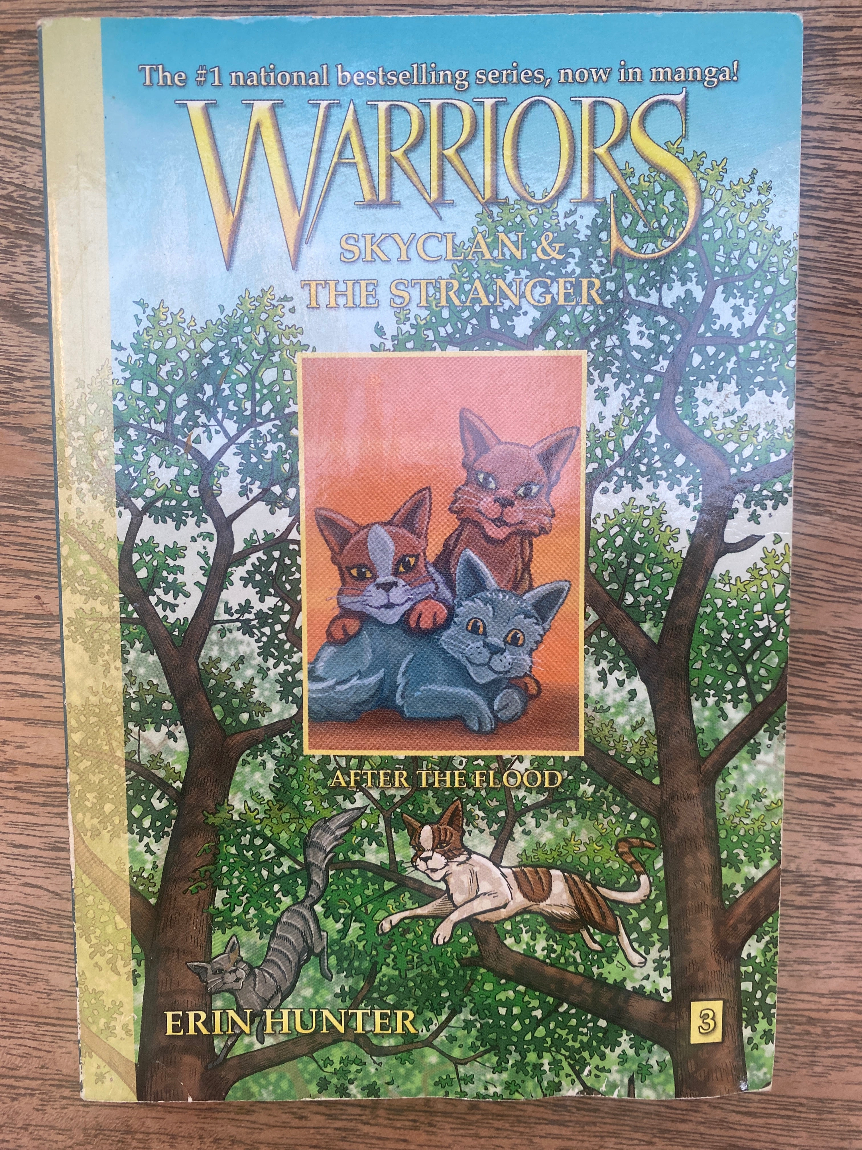 Warriors - Skyclan & the Stranger - After the Flood - Erin Hunter