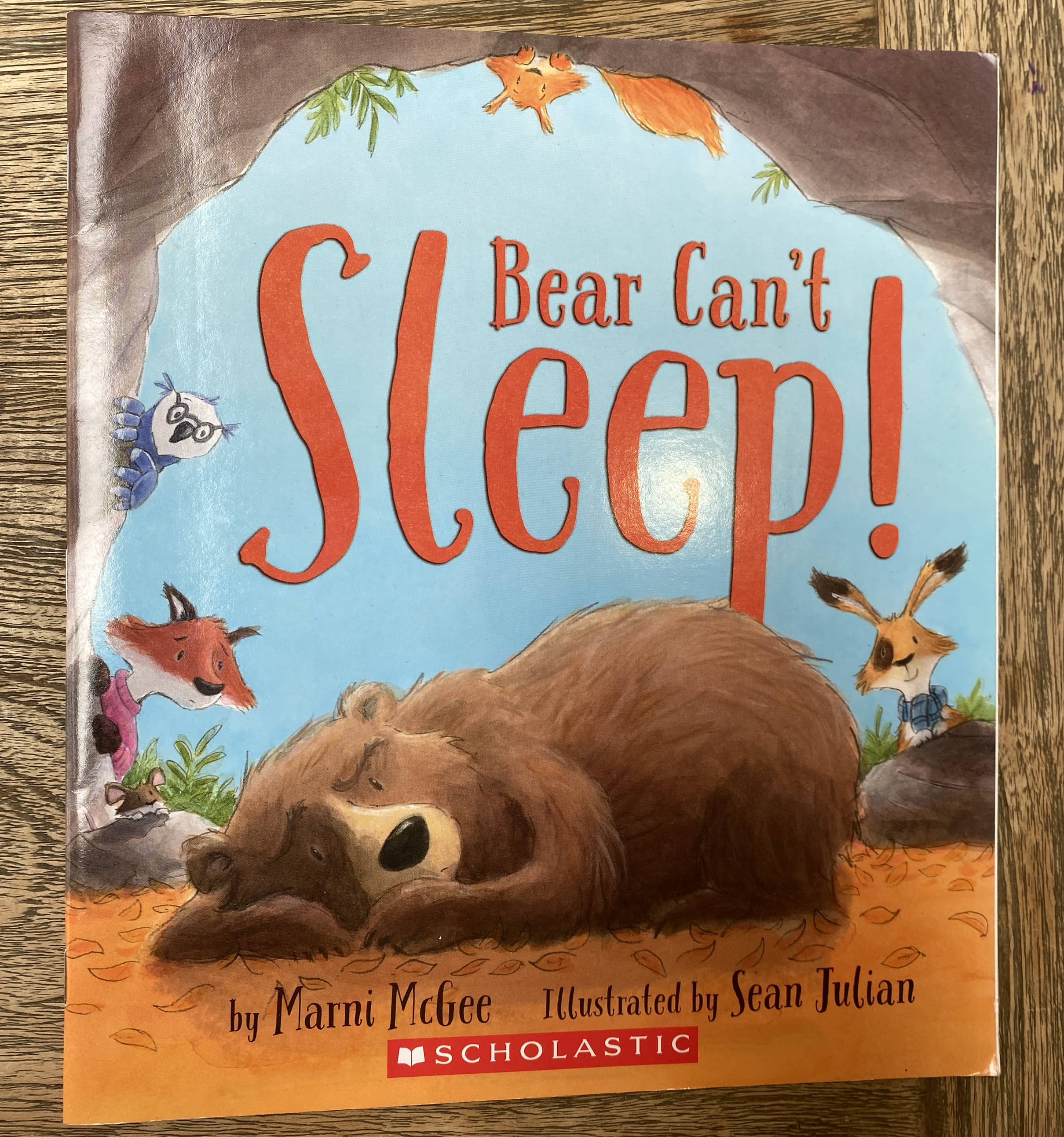 Bear Can't Sleep!