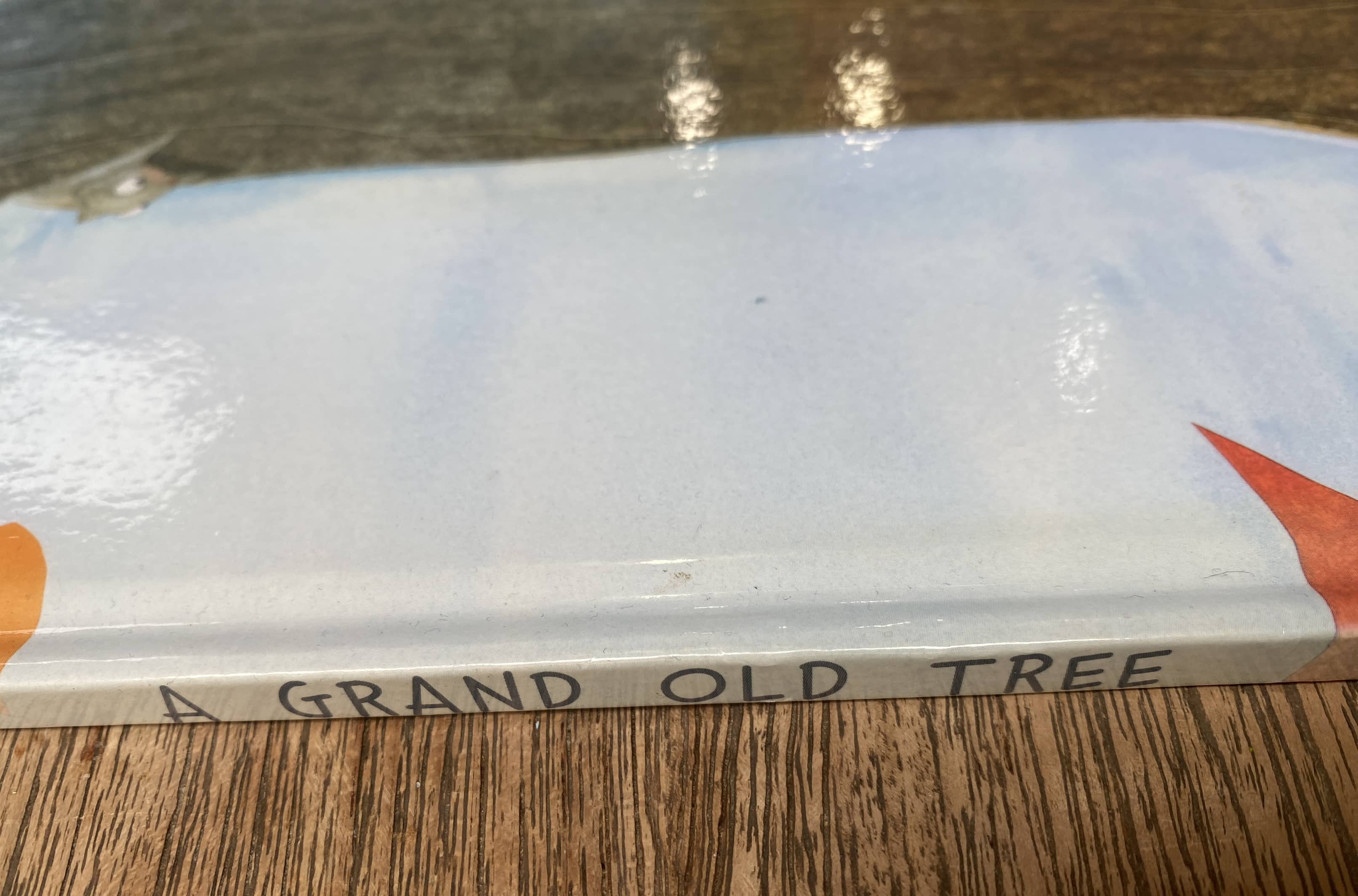 A Grand Old Tree - Levine