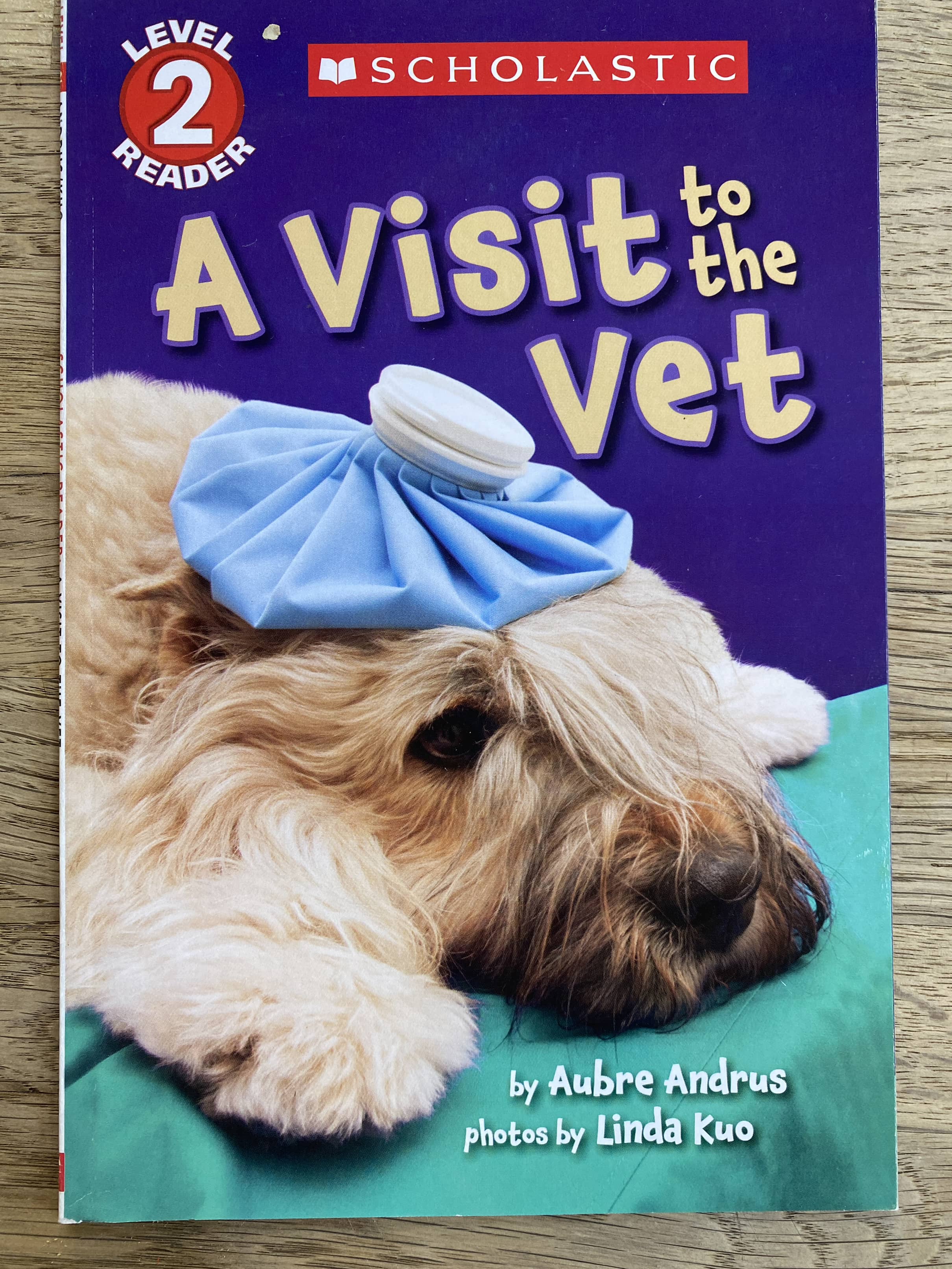 A Visit to the Vet - Level 2 Reader