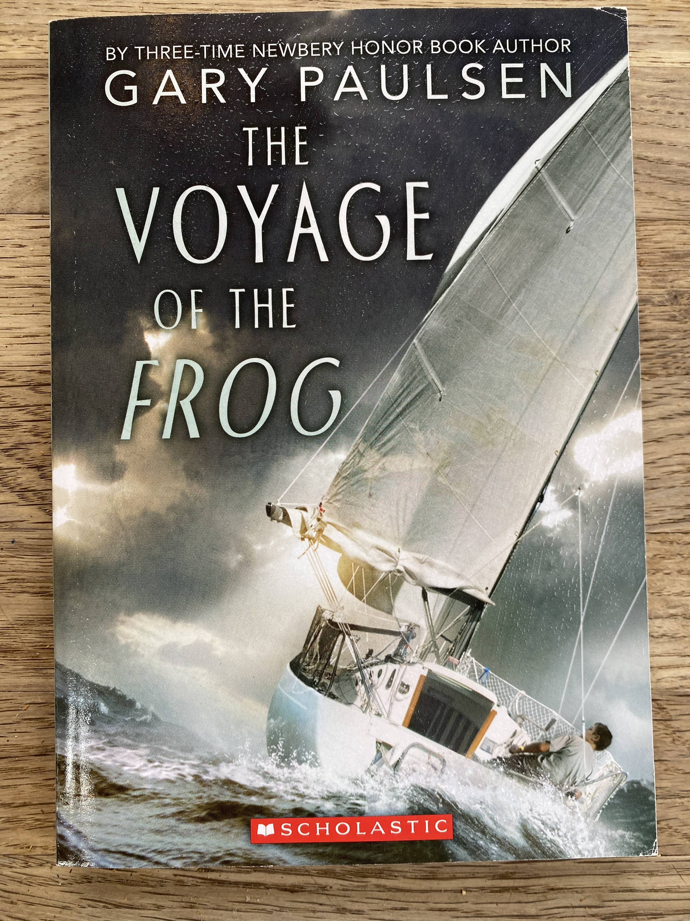 The Voyage of the Frog - Gary Paulsen